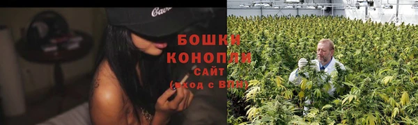 твердый Фёдоровский