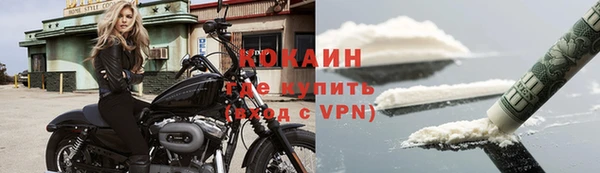 хмурый Нестеровская