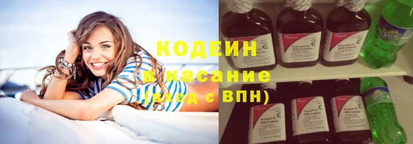 хмурый Нестеровская