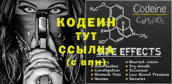 хмурый Нестеровская