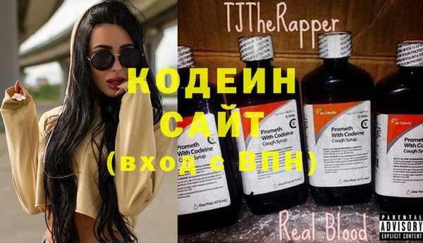 хмурый Нестеровская