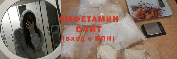 хмурый Нестеровская