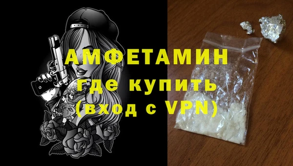 хмурый Нестеровская