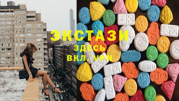 хмурый Нестеровская