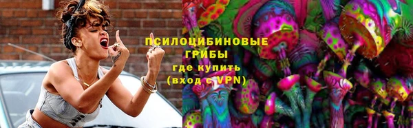 хмурый Нестеровская