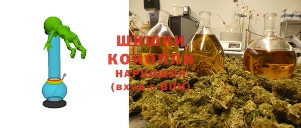 хмурый Нестеровская