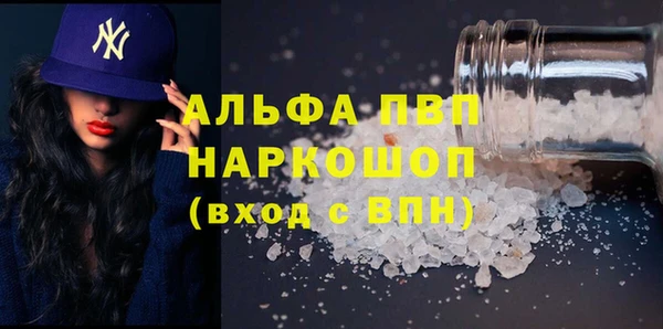 хмурый Нестеровская