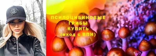твердый Фёдоровский
