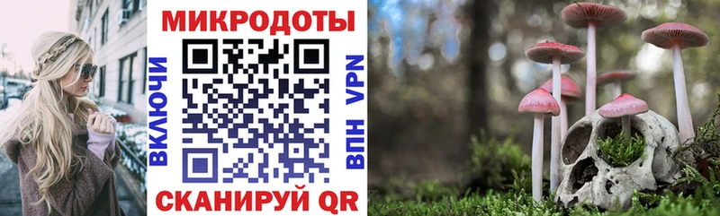 где можно купить   Белый  KRAKEN онион  Псилоцибиновые грибы GOLDEN TEACHER 